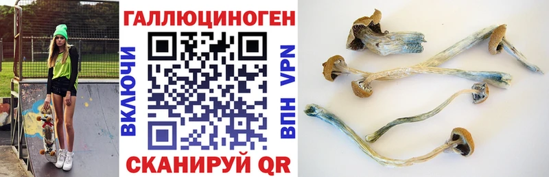 Псилоцибиновые грибы Psilocybine cubensis  kraken зеркало  Шиханы  где продают наркотики 
